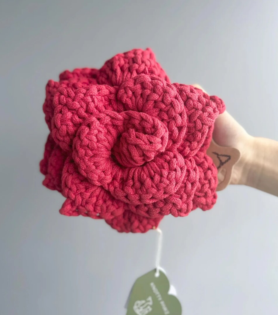 Poinsettia Blossom: Snuffle Flower Dog Toy, Enrichment and interactive dog toy, Sustainable Pet Rope Toy, Gift for Pets, Welcome Home Gift | MakerPlace by Michaels Poinsettia Blossom: Snuffle Flower Dog Toy, Enrichment and interactive dog toy, Sustainable Pet Rope Toy, Gift for Pets, Welcome Home Gift | MakerPlace by Michaels